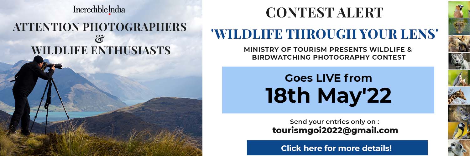 Wildlife contest