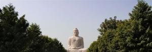 Statue-of-Buddha-Bodhgaya