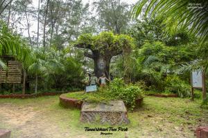 Tannirbhavi Tree Park, Mangalore