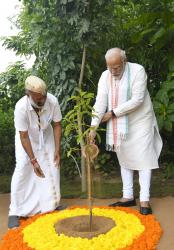 Planting of saplings at Smriti Van Memorial.