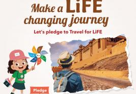 Pledges - Travel for LiFE