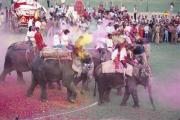 Holi-celebration -Jaipur,-Rajasthan